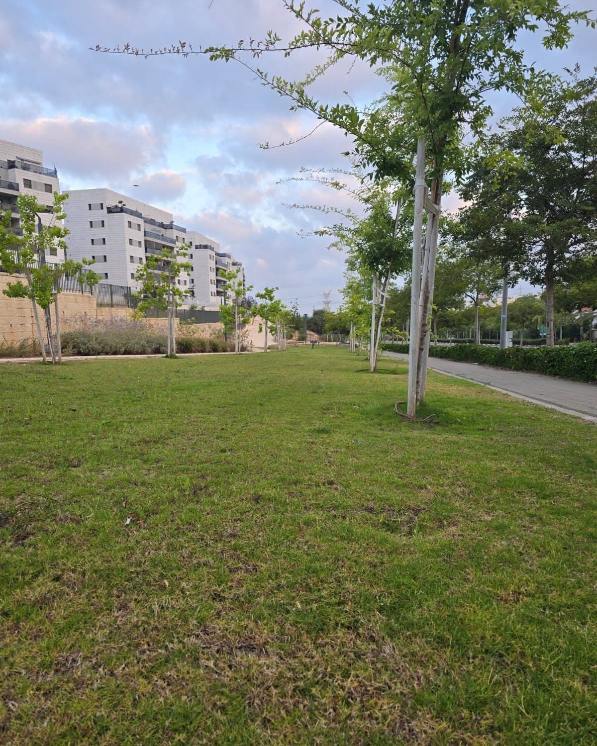חוזרים לטבע: עיריית ראש העין מחליפה את הדשא הסינתטי ברחבי העיר בדשא טבעי