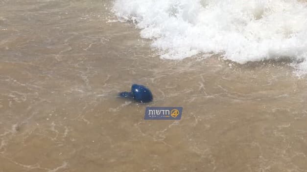 שקד רמתי, 0404