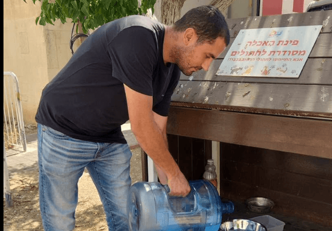 רווחת בעלי החיים בשרב: עיריית עכו מתגברת את אספקת המים לחתולי הרחוב