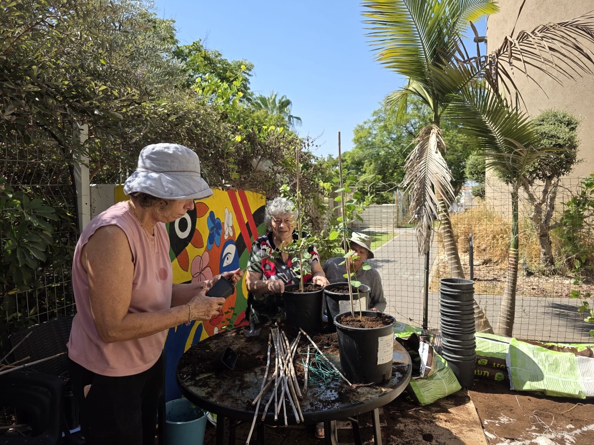 330 שתילים, הרבה תקווה: "פעוטון עצים" קהילתי הוקם בראש העין