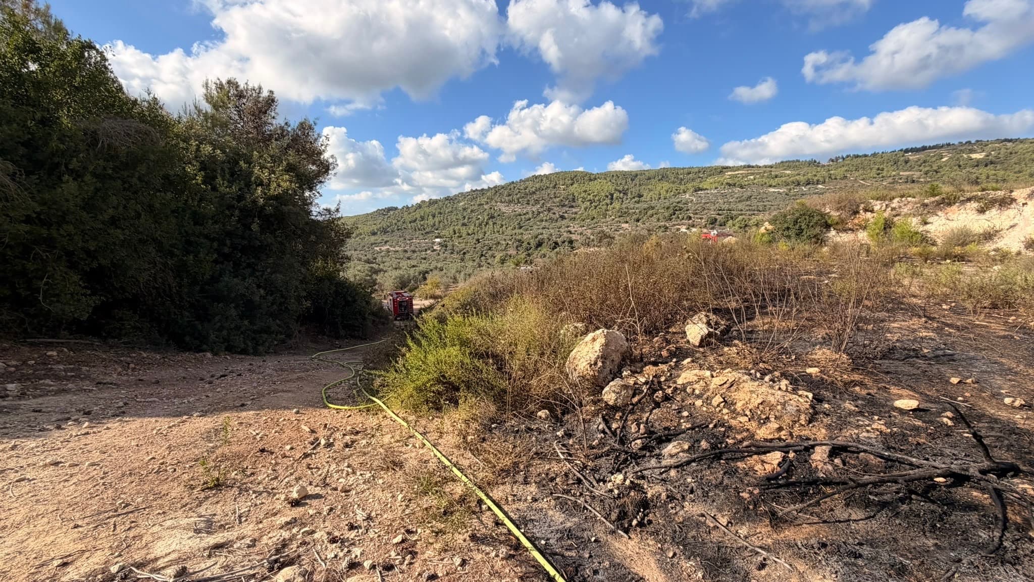 שריפת יער בפארק הכרמל ביום הכיפורים: כוחות הכיבוי בלמו את האש סמוך לבית אורן