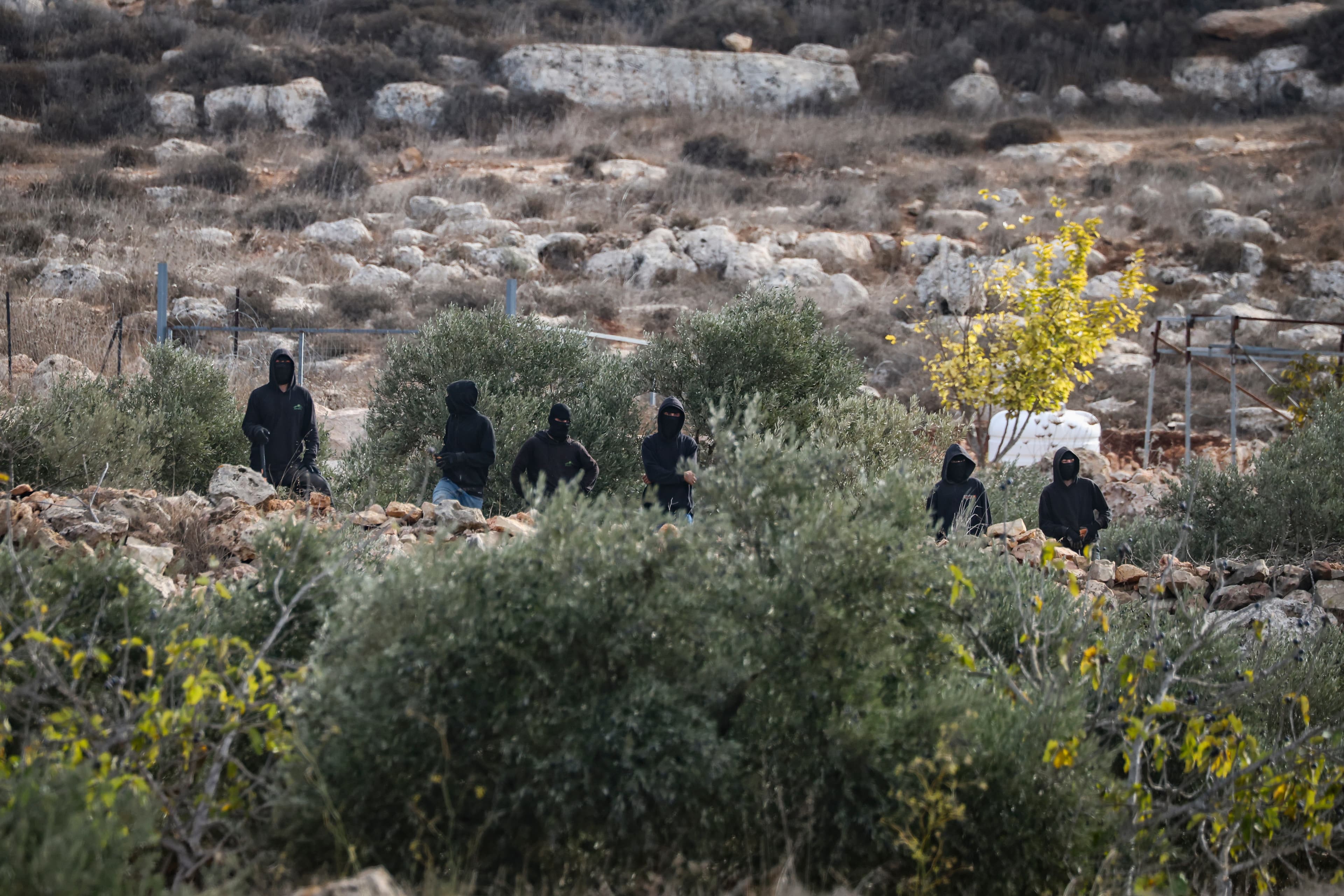 מחבלים השליכו אבנים לעבר רכב ישראלי סמוך לצומת רחלים - אישה נפצעה באורח קל