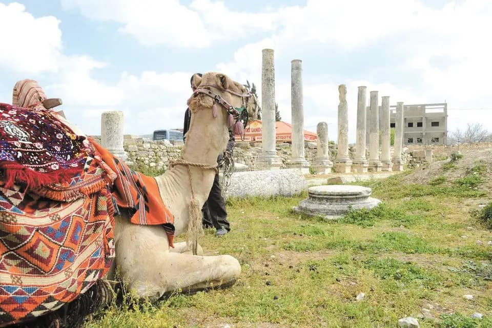חידות, מסלולים והטבות - יותר מ־5,500 נרשמים למיזם התיירות ביו״ש