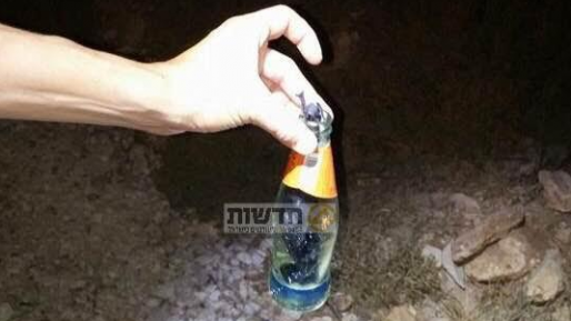 צילום: יוסף אדרי לוחמי מג"ב חיסלו מחבל שזרק בקבוק תבערה באזור הר הזיתים