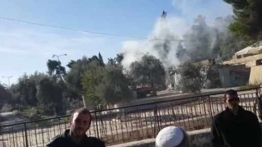 צילום: גילעד הדרי ארגוני הר הבית: לחקור מה שרפו הבוקר המוסלמים בהר הבית
