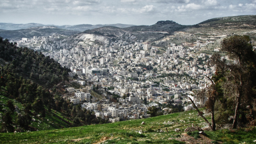 צה״ל הסתיר פיגוע ירי נוסף הלילה ופרסמו רק לאחר פניית חדשות 0404 | כל הפרטים