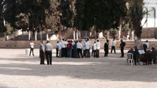 צילום: חדשות 0404 יהודי נעצר בהר הבית בחשד ש… בכה