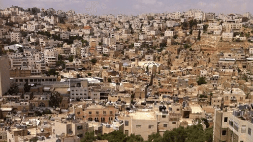 יו"ר אם תרצו: "מחר יכול להיות שניתקל גם כאן במיליציות תומכות חמאס שיתפסו צירים ראשיים"