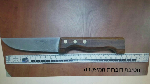 צילום: חטיבת דובר המשטרה סיכום חדשות השבת