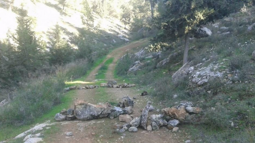 צילום: תנועת רגבים צעיר כבן 18 נפצע בינוני לאחר שנפל מצוק במהלך הכנה לצה"ל