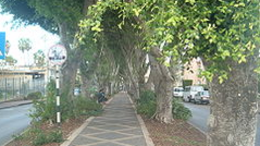 צילום: חדשות 0404 מהפכת מיחזור בקרית אתא