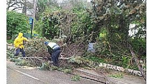 צילום: חדשות 0404 חורף: במועצה נערכים לקראת הסופה