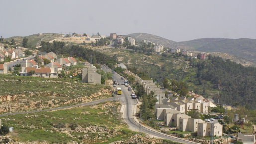 צילום: 0404 הגיע הזמן: ערבים יתקשו מעתה לעכב בנייה יהודית ביהודה ושומרון