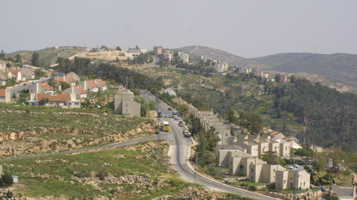 משקיעי נדל"ן: "השקעה בשומרון הכי משתלמת"