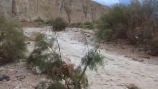 צילום: יחל ארצנו היפה: צפו בזרימה בנחל פרת ואוג ובקשת בכפר אדומים
