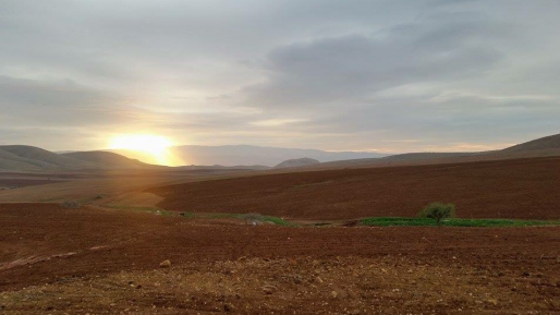 צילום: ערן אהרוני בוקר טוב עם ישראל היקר | תחזית מזג האוויר: מעונן חלקית, תחול עלייה בטמפרטורות