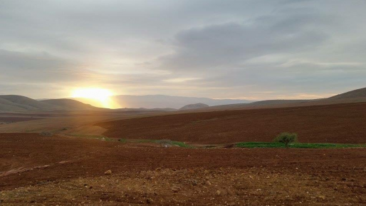 בוקר טוב עם ישראל היקר | תחזית מזג האוויר: נאה, תחול עלייה בטמפרטורות