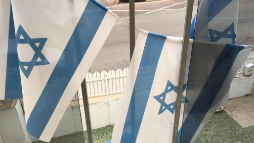 צילום: חדשות 0404 ערבים נעצרו לאחר שהשליכו דגלי ישראל לאשפה ביפו