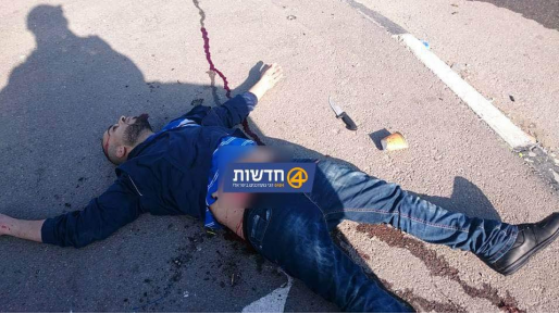 צילום: חדשות 0404 שני מחבלים חוסלו בבית ענון ובבית ג'אלה
