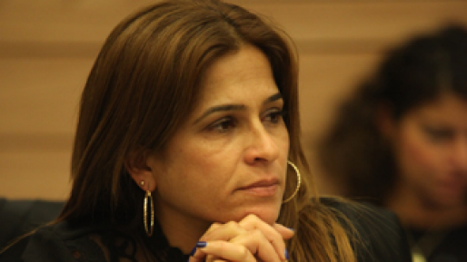 צילום: כנסת ישראל משרד הכלכלה התיר לפטר 956 נשים בהריון או בטיפולי פוריות בשנת 2015