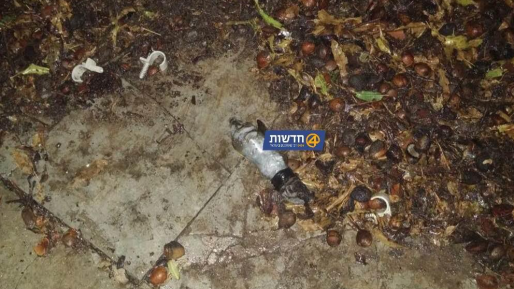 חדשות 0404