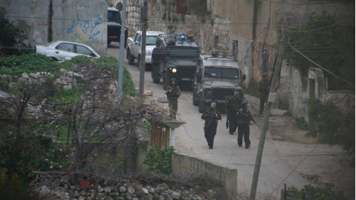 צילום: ערבים השתלטו על שטח ציבורי בירושלים ועל עצים ששתלו תלו תמונות מחבלים