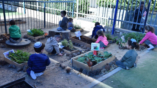 צילום: חדשות 0404 סיור של המשרד לאיכות הסביבה בגני הילדים בעיר השנה יוסמכו 8 גנים ירוקים נוספים