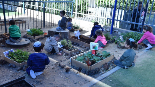 סיור של המשרד לאיכות הסביבה בגני הילדים בעיר השנה יוסמכו 8 גנים ירוקים נוספים