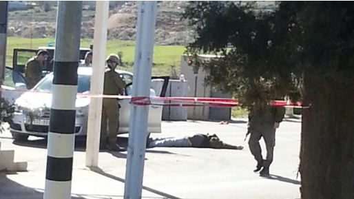 צילום: מעיין טל הותר לפרסום: הפצועים בפיגוע הירי ליד בית אל הם חיילי צה"ל