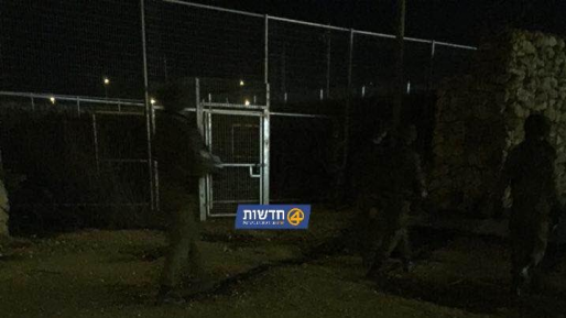 צילום: חדשות 0404 חזיר בר גרם להקפצת כוחות, סריקות ופצצות תאורה במחנה עופר