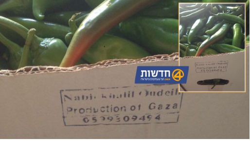 צילום: חדשות 0404 חשיפה: צה״ל רוכש ירקות מרצועת עזה. קצין בכיר: ״הזוי״