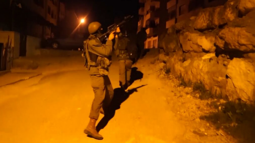 צילום: דובר צה כוחותינו עצרו מבוקשים, בהם פעילי ארגון הטרור חמאס
