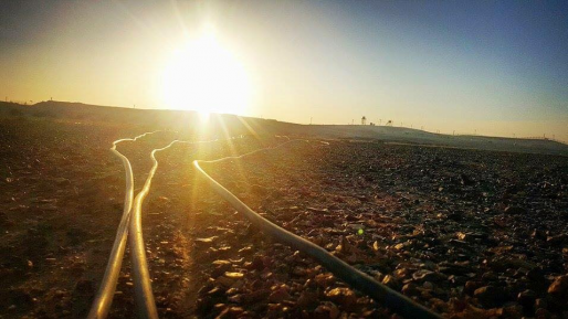 צילום: חיים שמואל גלב בוקר טוב ישראל | תחזית מזג האוויר: חם מהרגיל עד שרבי. בסופ