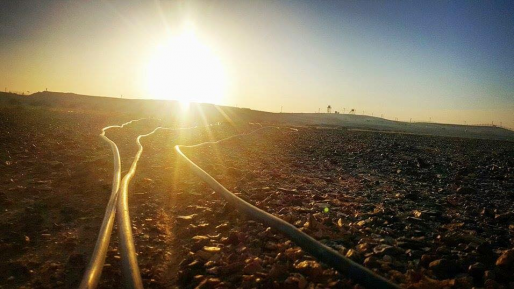 בוקר טוב ישראל | תחזית מזג האוויר: עלייה בטמפרטורות וירידה בלחות