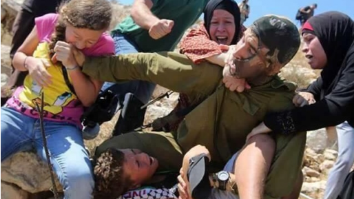 צילום: תקשורת ערבית פרסום ראשון: נעצרה בת משפחת תמימי שהכתה באוגוסט לוחם אגוז