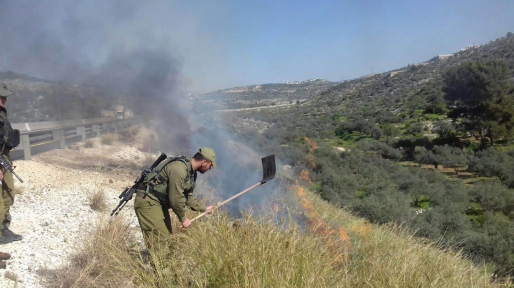 צילום: דוברות כב נעצר ערבי החשוד בפיגוע הצתת חורש אתמול על ציר 443