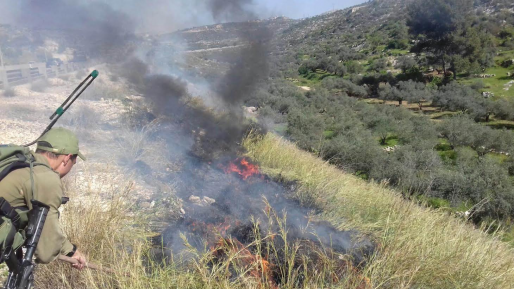 צילום: דוברות כב "טרור מסוג חדש"? ההצתות קיימות כבר זמן רב
