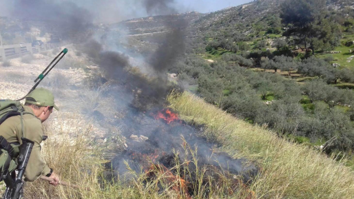 מחבלים הציתו צמיגים סמוך לכרמי צור – אין נפגעים