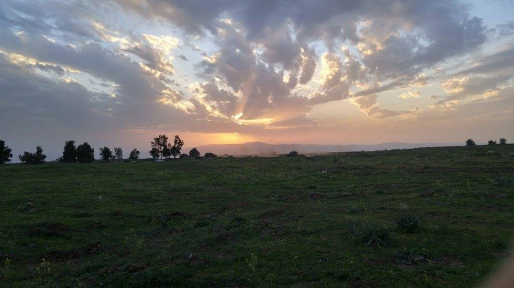 צילום: משה ביניאשוילי צה״ל תקף בסוריה לאחר נפילת מרגמה ברמת הגולן