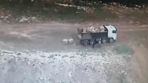 צילום: חדשות 0404 מאבק 0404: הוחרמו 3 משאיות של ערבים שהשתלטו על אדמות