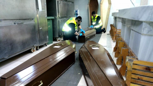 צילום: דוברות זק שלושה ארונות: אנשי זק"א עם ארונות הנרצחים בטורקיה