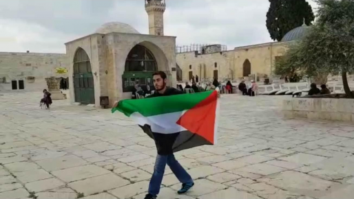 צילום: גילעד הדרי ועדת השרים דחתה הצעה לאסור הנפת דגלי אויב. ח