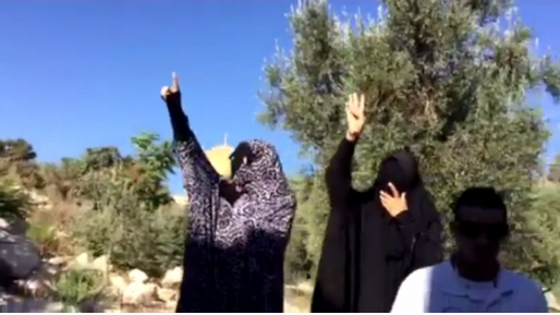 צילום: שי אברהם נחשפה רשת למימון המורביטון והמורביטאת בהר הבית