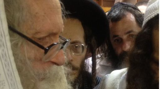 צילום: דוד ארז, ויקיפדיה בכפוף לשימוע: אליעזר ברלנד יואשם בעבירות מרמה והלבנת הון