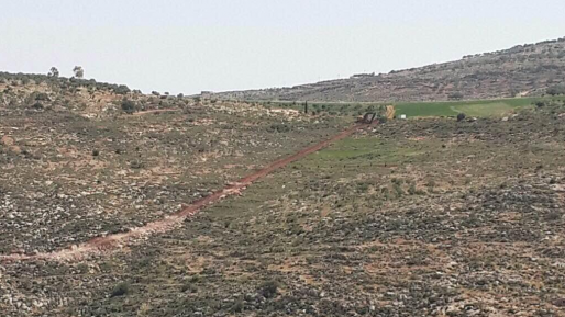 צילום: תנועת רגבים השתלטות על אדמות מדינה: חגיגת בנייה בלתי חוקית בדומא
