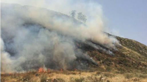 צילום: דוברות כב כתב אישום נגד שלושה ערבים בגין הצתת חורש בשני מוקדים