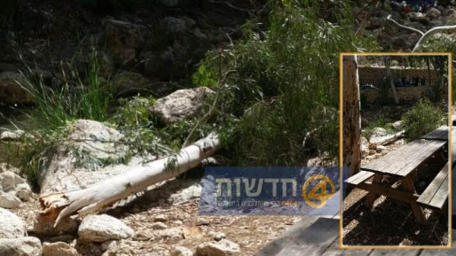 צילום: שמעון רביבו צעיר נפצע בינוני מקריסת ענף עץ בואדי קלט