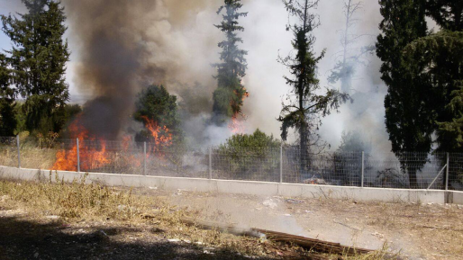 צילום: צחי סרויה צוותי כיבוי הוזעקו לשריפת חורש ביער רמות בירושלים