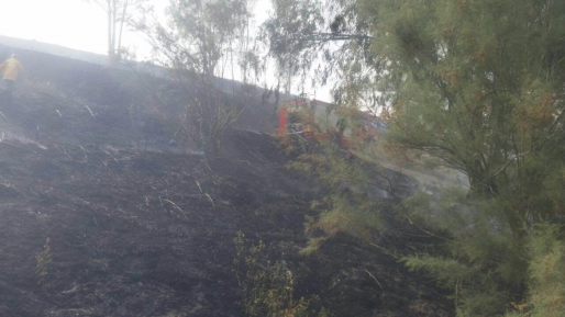 צילום: דוברות כב הטרור בישראל: ערבים הציתו שטח סמוך ליער גבעות