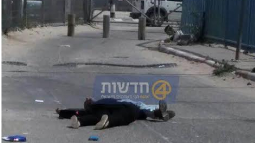 צילום: חדשות 0404 הפורום המשפטי למען ישראל: שחרור גופות מחבלים – בניגוד לעקרונות המשפט